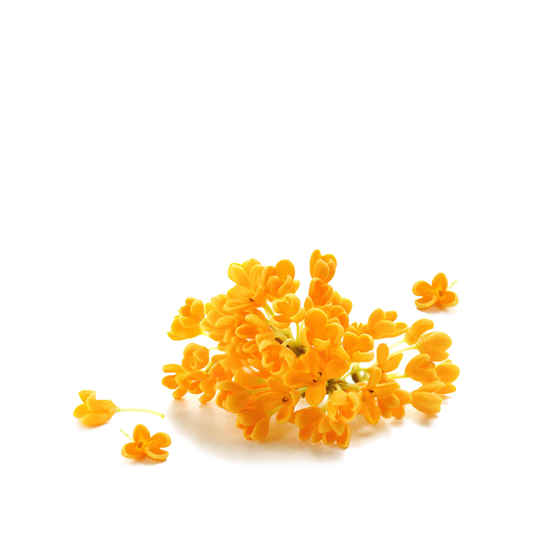 No.01 ADORE - The CLASSIC- (Osmanthus, Orange, Neroli)