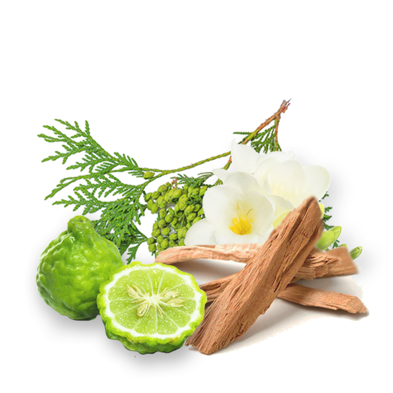 No.06 MUSIQUE - The CLASSIC- (Bergamot, Jasmine, Cedar)